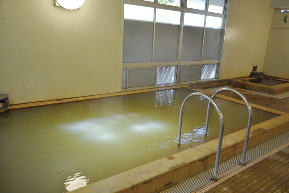 塩浸温泉公園　龍馬とお龍の湯