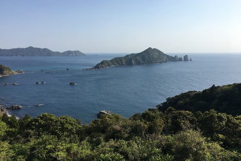 かごプラ 南さつま 海道八景色