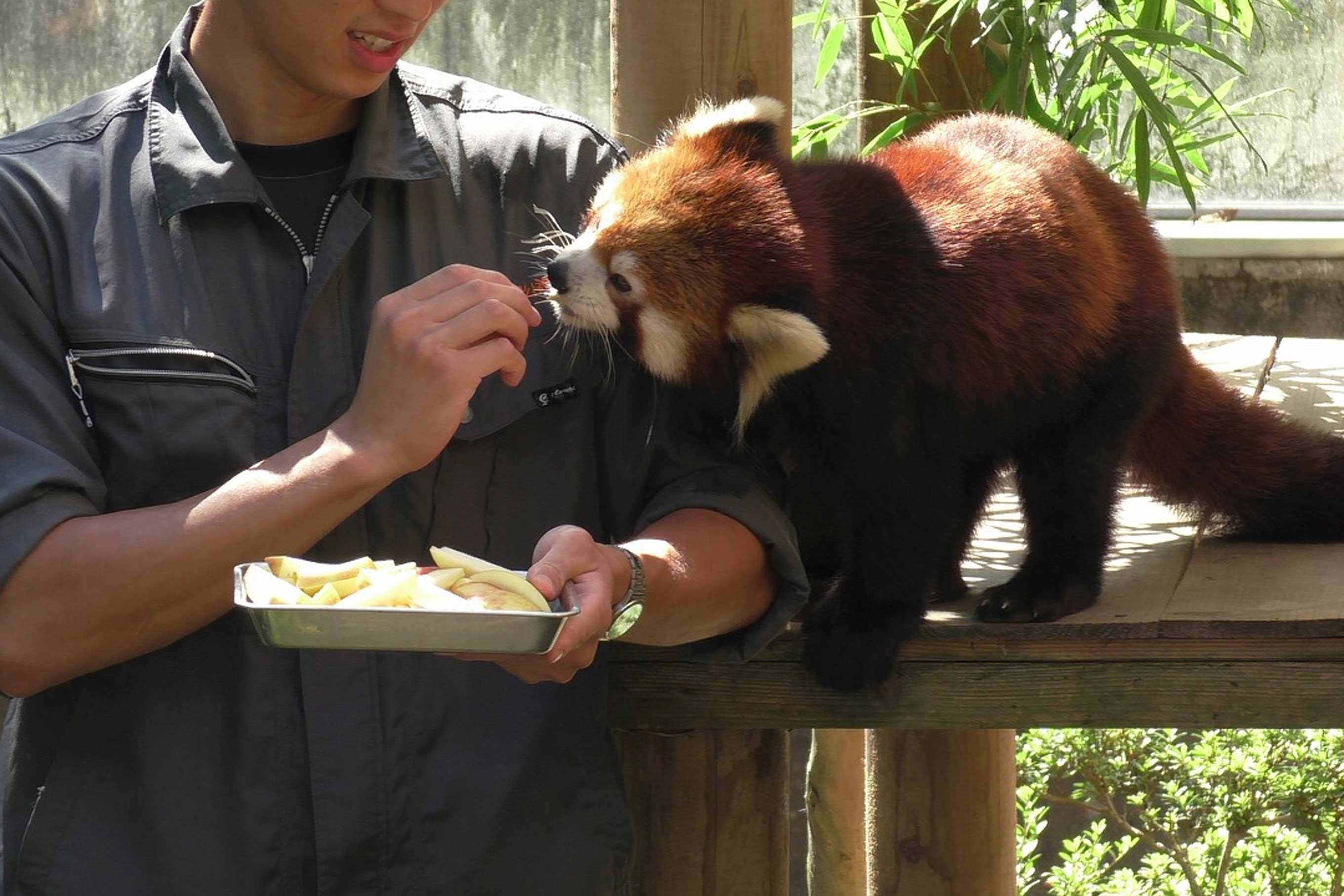 そうだ、今週末は動物園へ行こう。