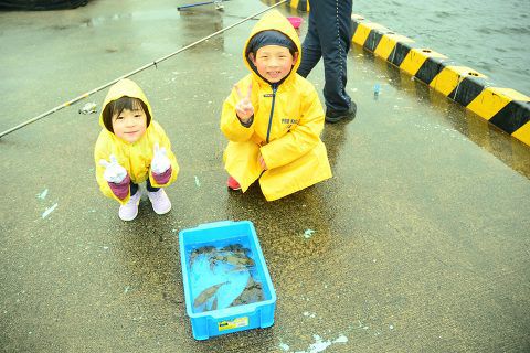 カゴプラ 南薩