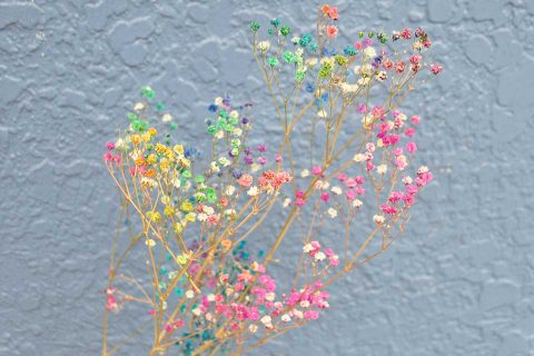 Andora Sns映えも抜群 フォトジェニックなお花屋さんで お花を自分だけの形に カゴシマプラス