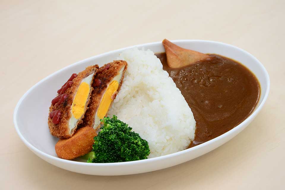 【川内川大鶴ゆうゆう館】さつま町でダムを見ながら、ダムカレーを食す、ダムタイムを