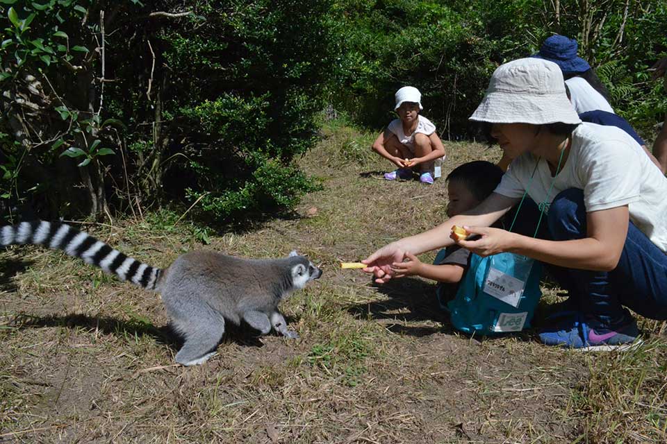 【平川動物公園「春の動物公園まつり」】春の動物園はお楽しみいっぱい！可愛い動物たちと触れ合おう