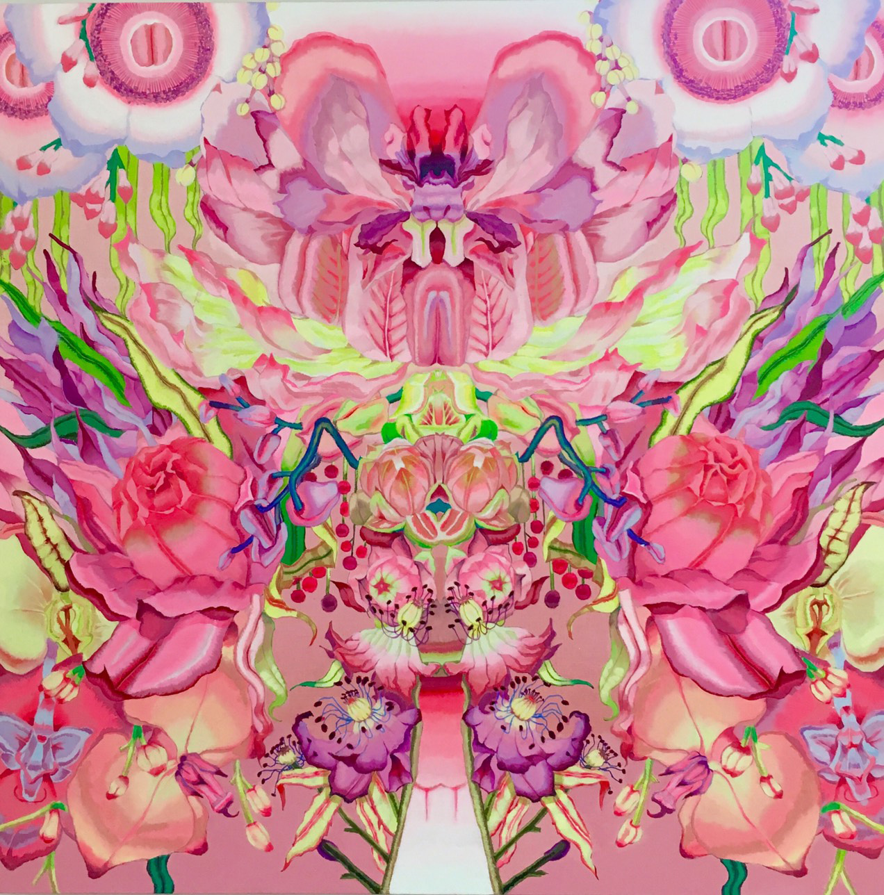 【ギャラリーセージ|鹿児島市】松下茉莉香 絵画展〜ちいさなせかい・むげんのいろ、うつつのはな〜