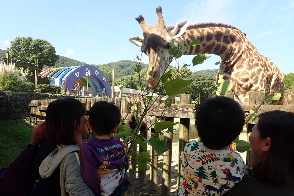 【平川動物公園】秋の平川動物公園まつり