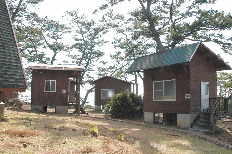 カゴシマプラス｜おでかけ　阿久根大島　キャンプ　海水浴場