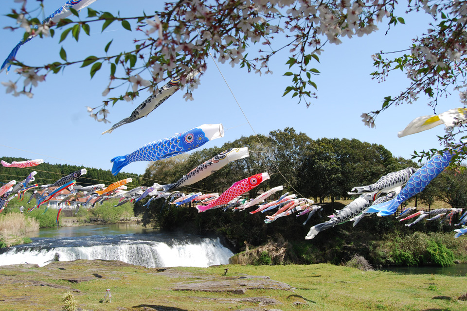 【中止】【伊佐市】湯之尾滝 こいのぼり掲揚