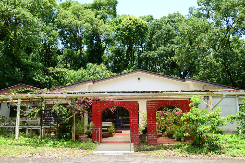 <b>【開聞山麓香料園】</b>山麓ののどかな自然の中で天然ハーブの香りに癒されるひとときを