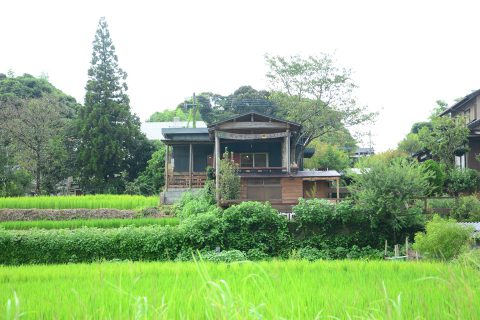 街ネタプラス｜鹿児島｜グルメ｜稲音館／PH1