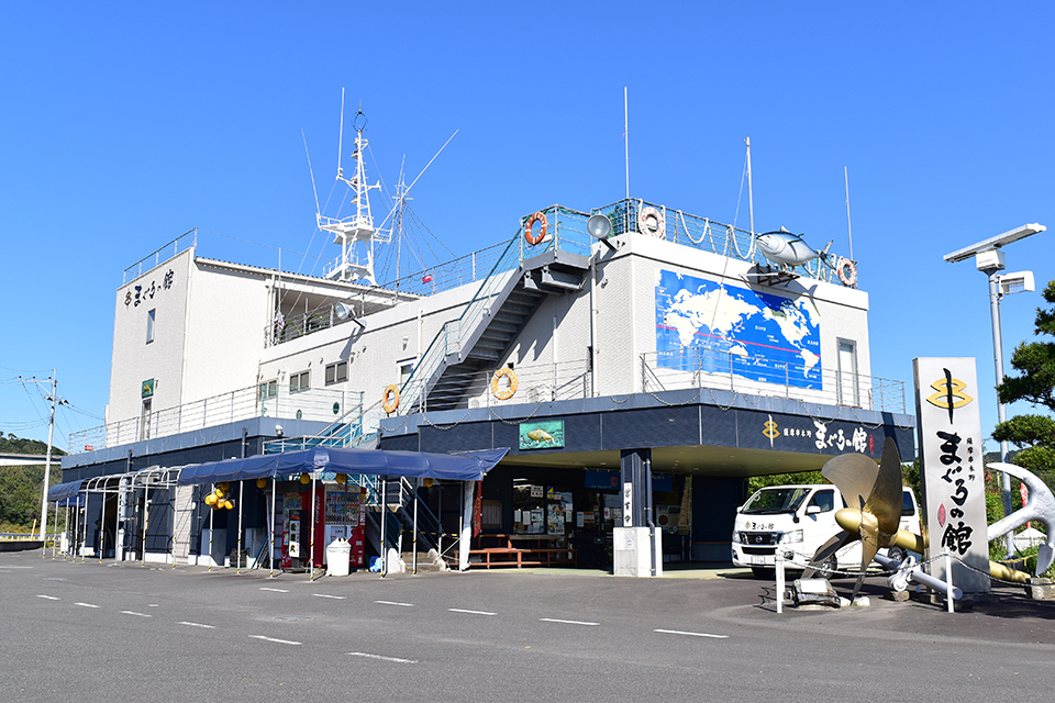 <b>【薩摩串木野 まぐろの館】</b>私、知らなかった…！驚きのマグロの世界をのぞいてみませんか？(あと美味しいマグロ食べましょ)