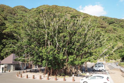 街ネタプラス｜鹿児島｜おでかけ｜佐多岬1