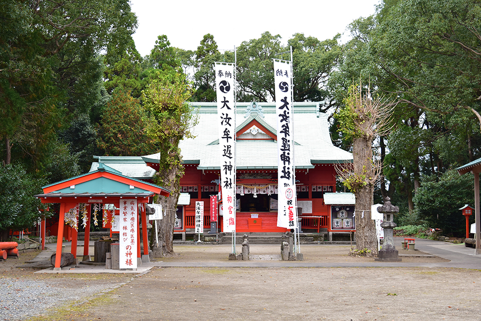 【大汝牟遅神社】南薩イチの大楠に願いを！境内でた〜っぷりパワーチャージしましょ〜！