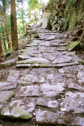 街ネタプラス｜鹿児島｜イベント｜蒲生スタンプラリー