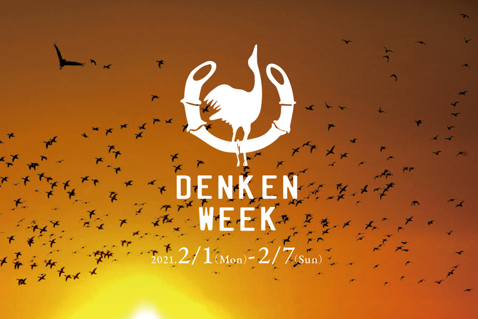 【出水市】DENKEN WEEK IZUMI