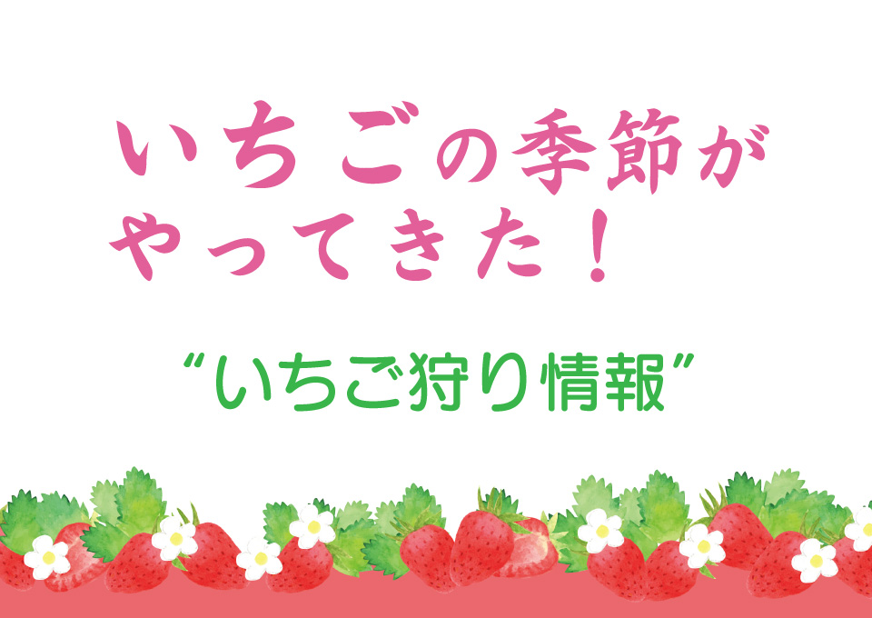 いちごの季節がやってきた！