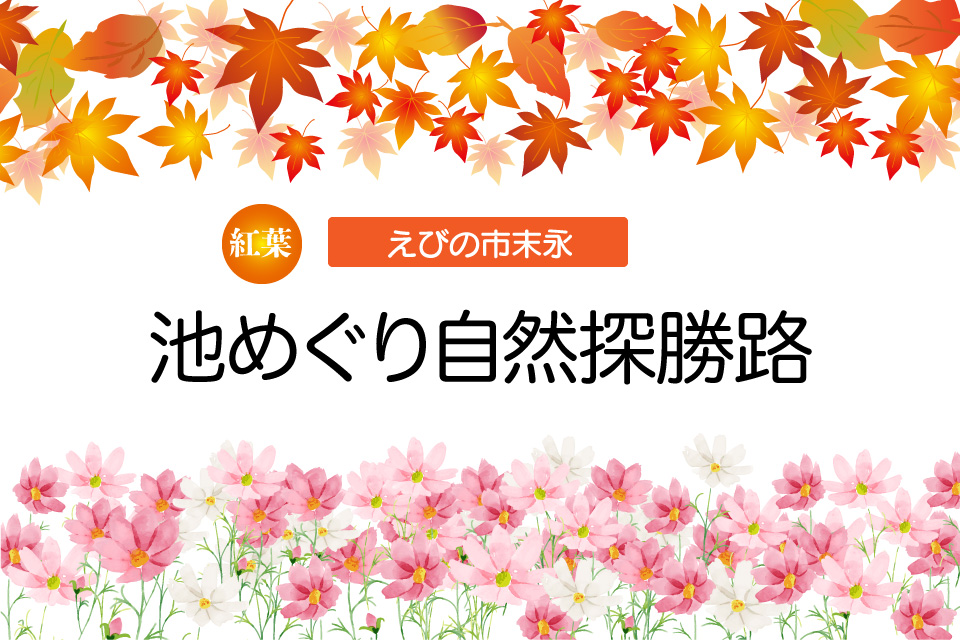 【紅葉】池めぐり自然探勝路